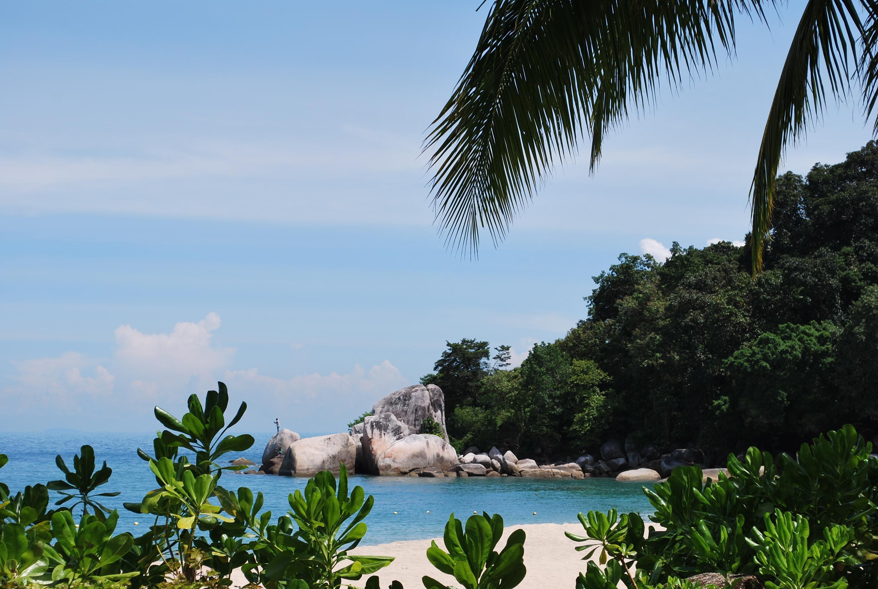 Shangri-La Rasa Sayang, Penang باتو فيرينغي المظهر الخارجي الصورة Beach on Pulau Aman